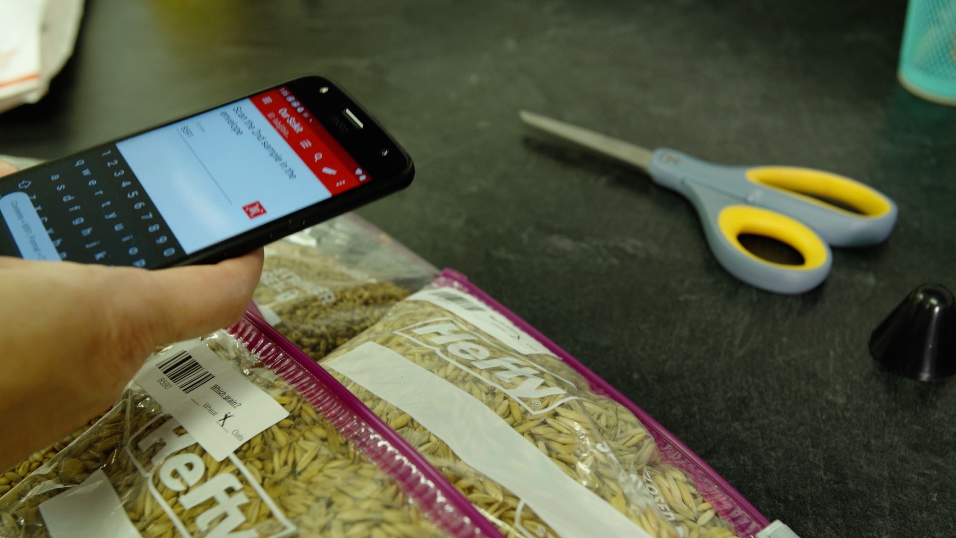 Farm recordkeeping in the field with SurveyStack